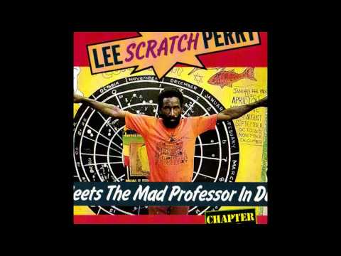 Lee Scratch Perry Meets The Mad Professor In Dub -  1) Public Enemy