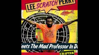 Lee Scratch Perry Meets The Mad Professor In Dub -  1) Public Enemy
