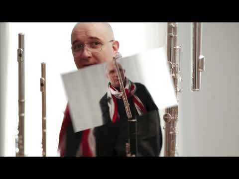 @ionbogdanstefanescu  Călin Ioachimescu - Flute Concert