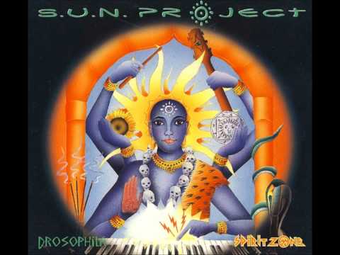 S.U.N. Project - Drosophila