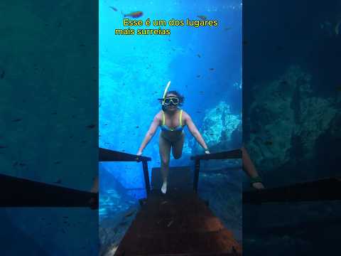 A exuberante Lagoa Misteriosa em Jardim MS #bonito#turismo  #bonitomsoficial #natureza #lagoa