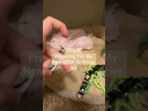 GRWM: Preparing For My New ESSA #essa #esa