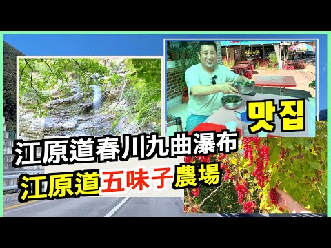 [Somija 1] Viagem para a Coreia | Coreia | Fazenda Gangwon-do Omija, crescimento natural, sem fertilizantes, terras agrícolas | Cachoeira Guguk em Chuncheon, Gangwon-do, belas paisagens, prazer pessoal | Iguarias gastronômicas | Liming Xiaoge e ótima saúde