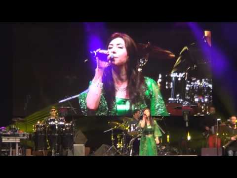 Eldfesten (Fire Party) 2015 Göteborg