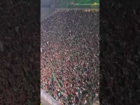 Ambiance de folie au Chaudron ! Ultras ASSE en feu vs Rodez | Les Verts 16/08/2025 💚🔥