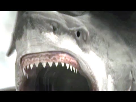 Sharknado 2: The Second One (Trailer)