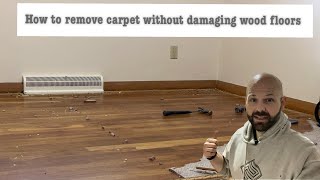 How to remove carpeting without damaging the hardwood floors underneath