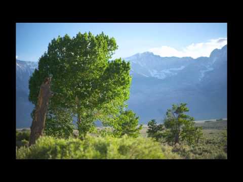 Android Cartel - Wake Up Call (Liz Cirelli & Minski Remix)