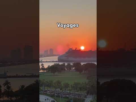 What is the BEST cruise line? 🤔