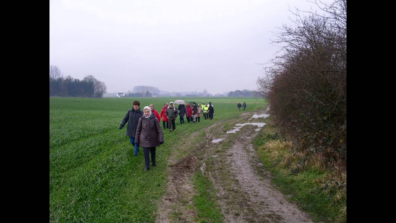 Terlindenwandeling te Ternat 21 12 2006