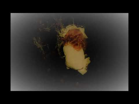 Röstinspelning: Hon som kom tillbaka (boktrailer) skräck- & spökhistorier, rysare 12-15 år