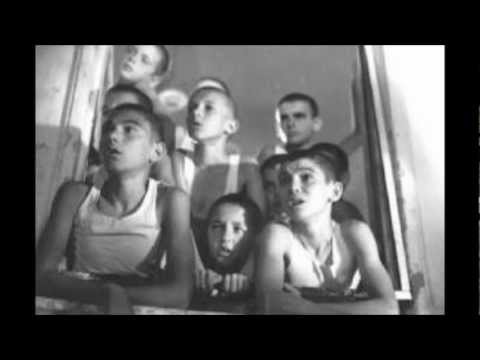 Sulo Te qiifsha ropt. +18