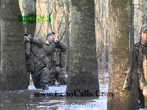 Short N Sweet Old School Echo Green Timber Duck Hunting