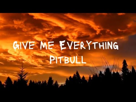 Give Me Everything- Pitbull Lyrics