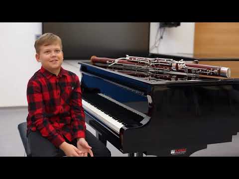 Brainz Art - Orin Fimont Vizeki