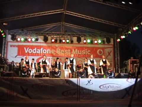 Ansamblul Flori Muresene Simeria