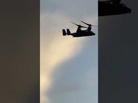 Bell Boeing V-22 Osprey Flying at Sunset
