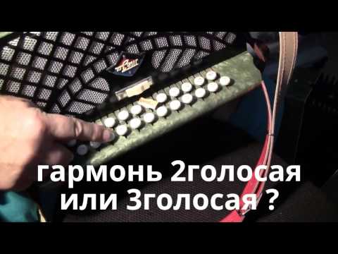 гармонь 2голосая или 3голосая ? Как определить