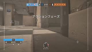 のんびり朝活シージ(^^)