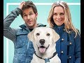 Um Cachorro Para Dois Filme Comédia Lançamento Completo E Dublado
