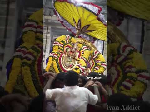 அண்ணாமலையார் அடிக்கமலம் சென்றிறைஞ்சும் | Arunachaleswarar temple | tiruvannamalai | Sivan Addict