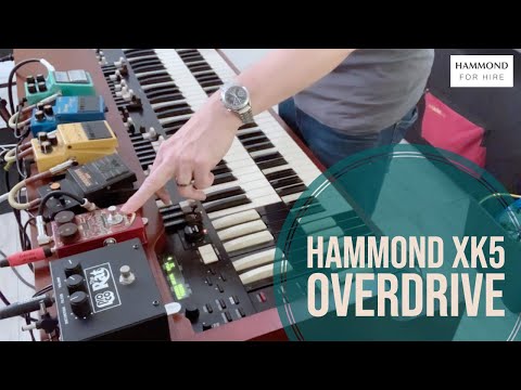 Hammond XK-5 Overdrive - Group pedal test