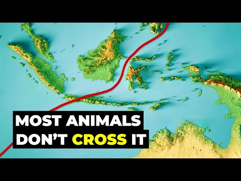 The Invisible LINE That No Animal, Bird or Fish Can Cross