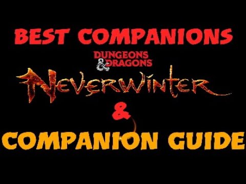 Neverwinter Best Companions & Companion Guide 2020 (Bolster and Runestones Included)