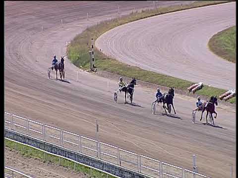 Trotto 20/06/2019 - prova di qualifica