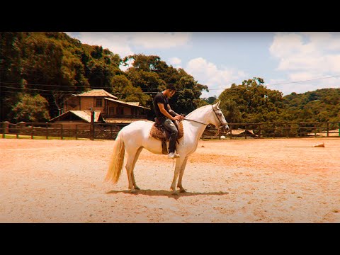 Yolfloy - Django 🐎 (Prod. Lucpuff) (Official Music Video)