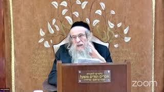 הרה"ג הרב וועכטר שליט"א י"ב סיון תשפ"ד - ליקוטי שיחות חלק (הרב אברהם מנחם מענדל וכטר) - התמונה מוצגת ישירות מתוך אתר האינטרנט יוטיוב. זכויות היוצרים בתמונה שייכות ליוצרה. קישור קרדיט למקור התוכן נמצא בתוך דף הסרטון