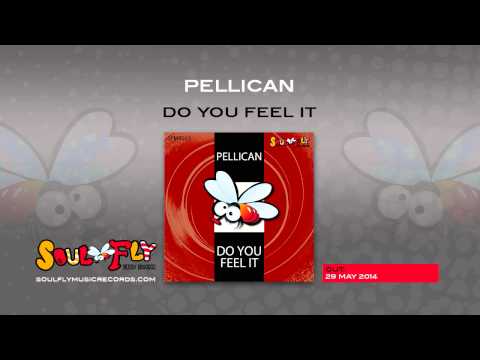 SFMR033 - Pellican - Do You Feel It