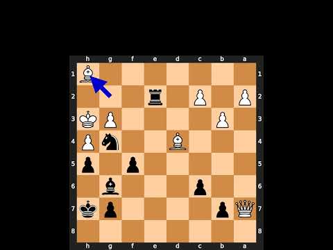 Daily Chess Puzzles - 30th of January, 2023 #chess