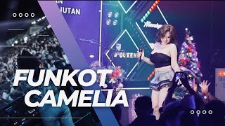 Download lagu FUNKOT CAMELIA BY DJ ALIENDYA mp3