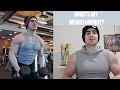 My Macros Right Now|Shoulder Workout Highligths