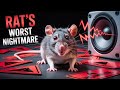 Ultrasonic Rat Repellent Sound 6 Hour Version Keep Rodents Away Instantly