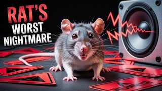Download lagu Ultrasonic Rat Repellent Sound – 6 Hour Version – Keep Rodents Away Instantly! mp3