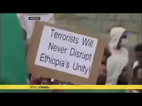 Eritrean along with Ethiopian forces launch a multi-prong full scale offensive on Tigrai