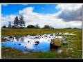 My house and river - Paul Mauriat 