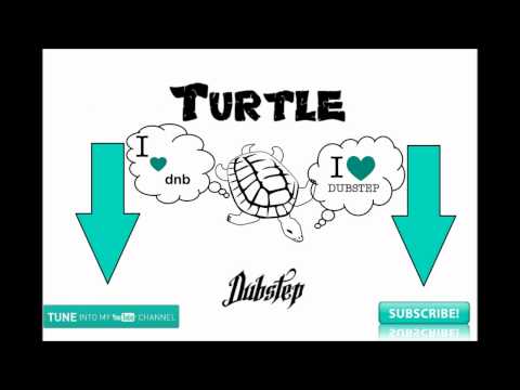 TurtleDubstep present: Stim Axel - Marina