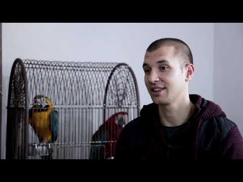 Moj ljubimac ep.34 - Žako papagaj - 10.02.2020.
