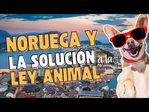 La SOLUCIÓN NORUEGA para cumplir con la nueva LEY de PROTECCIÓN ANIMAL de ESPAÑA
