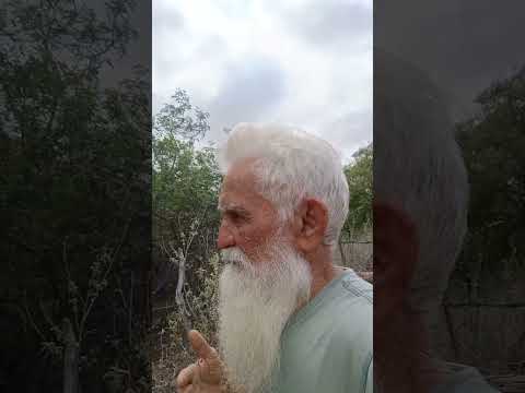 #Do Nordeste para o Mundo. #Curaca. #Bahia. #Nordeste. #Brasil.