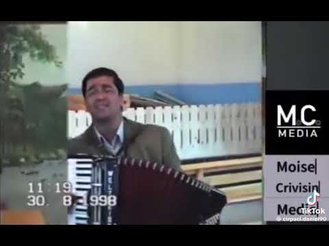 Vervelas din tandarei 