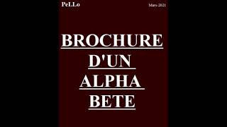Brochure d'un alpha bete Music Video