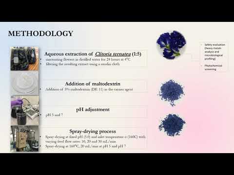 Clitoria Ternatea Extract Powder