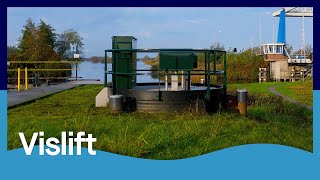 56.000 vissen profiteren van nieuwe vislift