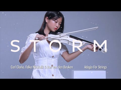 Carl Clarks, Falko Niestolik & Ron van den Beuken - Adagio For Strings