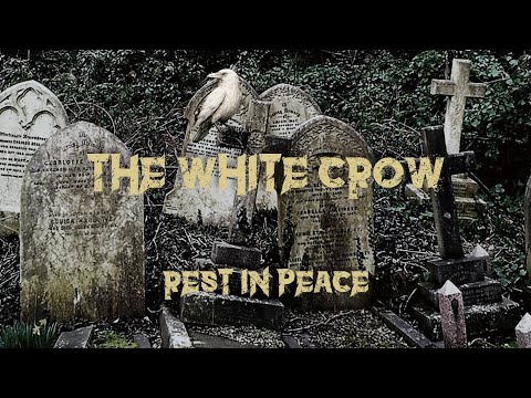 The White Crow - Rest in peace (Official video)