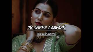 Download lagu 🖤Tu Cheez Lajwaab/ Slowed Reverb/New Haryanvi Song 2023/Sapna Choudhary/🎶🖤 mp3